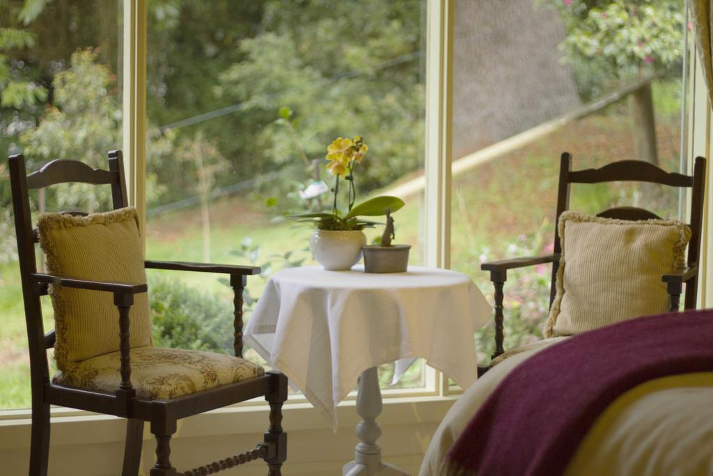 Billy Buttons Bed And Breakfast Emerald Cameră foto